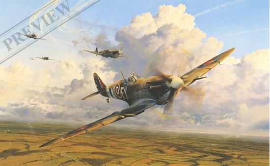 Picture of AFTER THE BATTLE By Robert Taylor RARE Multi-Signed Edition